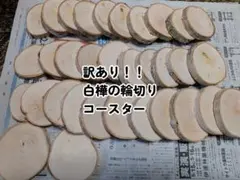 訳ありの白樺の輪切りコースター33枚