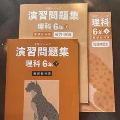 四谷大塚予習シリーズ 理科 難関校対策　6年下
