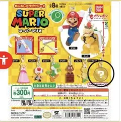 スーパーマリオ めじるしアクセサリー　シークレット