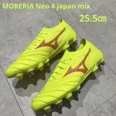 Item thumbnail for item 0fbb08e3-9af8-4276-bcc7-460e8e077a90