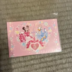 東京ディズニーランド ポストカード ミニー&ドナルド