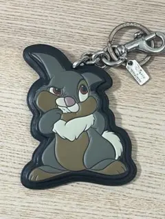 2026年最新】とんすけ coachの人気アイテム - メルカリ