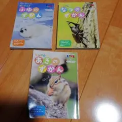 ふゆ・はつ・あきの絵本セット