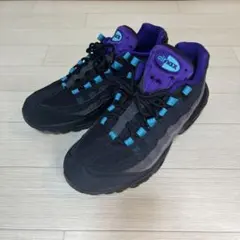 ナイキ NIKE Air Max 95 Grape Reverse