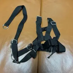 Item thumbnail for item 29b977b9-c7d5-401e-aeea-2aa900955560