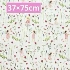 Item thumbnail for item 74fcd935-16bd-4dac-8337-d354fa38fb32