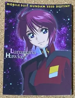 機動戦士ガンダムSEED DESTINY カードダスマスターズ  ルナマリア①
