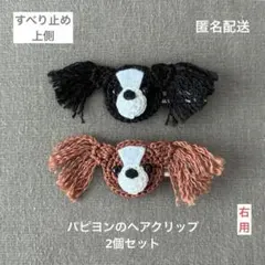 大きめ☆【匿名配送】パピヨンのヘアクリップ2個　犬　ヘアピン　幼児　キッズ　大人