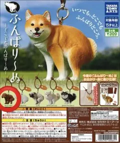 ふんばり〜ぬ(トイプードル)