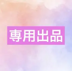 専用出品