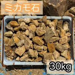 希少❗️ ミカモ石 みかも石 30kg 〜5cm ロックガーデンのサムネイル