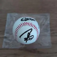 大城卓三選手 直筆サインボール UVカットボールケース付 - メルカリ