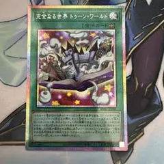 完全なる世界トゥーンワールド プリシク - メルカリ