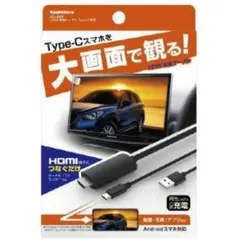 高画質対応 HDMI変換ケーブル Type-C専用 KD-208 カシムラのサムネイル