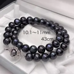 【大珠】 本真珠 パール 10.1〜11mmネックレス 黒 SILVER 刻印