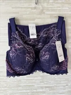 D85L」トリンプ レッドレーベル 輝くばかりの美しさ フルカップブラショーツ