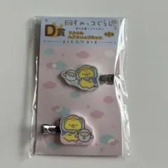 アクリルヘアクリップセット 2個