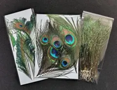 Item thumbnail for item a5388a89-455d-4b77-a261-045e500bf9ce