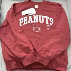 Item thumbnail for item 9d2cfdf5-8f6a-4cb3-b1ed-3c62b50e8192