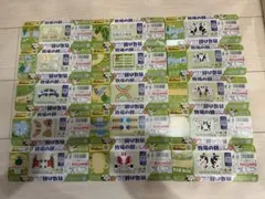 工作素材 牧場の朝 ヨーグルト 15枚セット プレーン かぶりなし 全種類