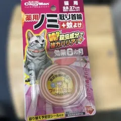 Item thumbnail for item 5370f773-6727-4640-b096-b5eefae1634c