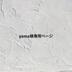 シルバー イヤーカフセット（フォロー割100円引き）