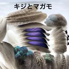 Item thumbnail for item 3c38778c-91f7-4920-b0a4-fc75531cd3ca