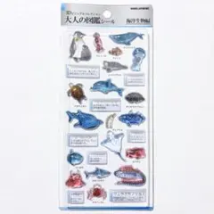 カミオジャパン 3Dビジュアルコレクション 大人の図鑑シール 海洋生物編