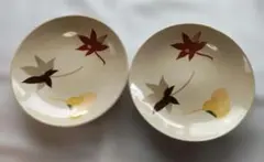【新品未使用】たち吉紅葉と花模様の皿2枚セット