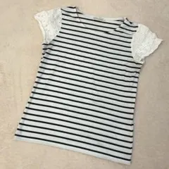 コットンレース袖ボーダーTシャツ フレンチスリーブ 切り替えのサムネイル