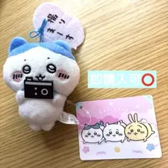 【即購入可⭕️】ちいかわ　ハチワレ　セリフ付きマスコット