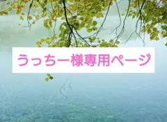 うっちー様専用ページ