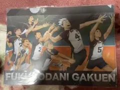 ハイキュー!! FLY HIGH ハイフラ 非売品 クリアファイル 白鳥沢学園