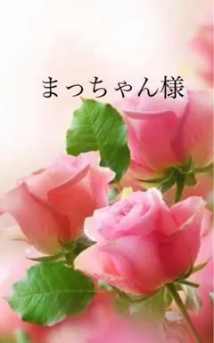 ＊まっちゃん様専用ぺージ＊