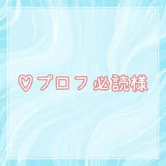 yukina  プロフ必読様☆ご確認用ページ☆ 2026年最新】プロフ必読の人気アイテム - メルカリ