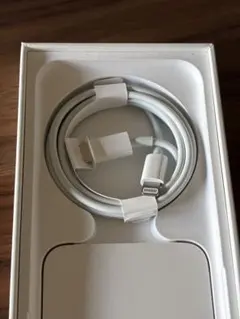 Apple 正規品 Lightningケーブル iPhone USB-C 純正