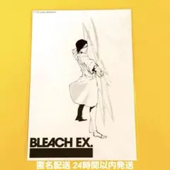 bleach ブロマイド
