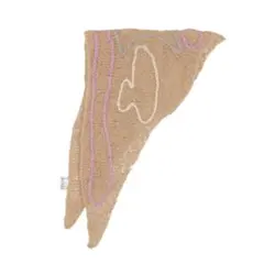 Item thumbnail for item 1e9f5cfb-912a-4256-bff2-e49446664655