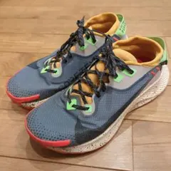 ナイキ トレイル ペガサス GORE-TEX 26cm
