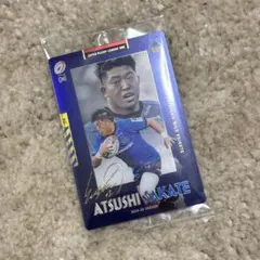 Item thumbnail for item 4464fbf6-1cea-4aff-aad6-4f3347a07874