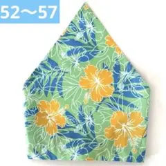 Item thumbnail for item f2617e01-f53b-4f35-b681-1edbb26955df