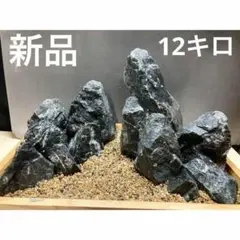 龍王石　親石のみ　専用 Amazon.co.jp: 3ADA龍王石2.5キロ☆水槽 レイアウト