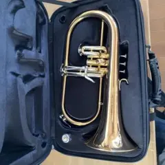2026年最新】トランペット ケース フリューゲルの人気アイテム - メルカリ