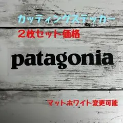 ２枚セット patagonia カッティングステッカー