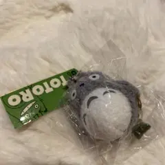 Item thumbnail for item 33e106cf-9d2d-49ae-8ebc-8a56507b0628