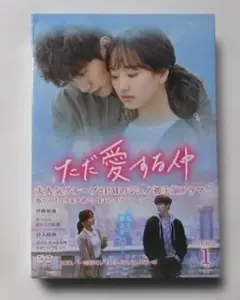韓国ドラマ「ナイショの恋していいですか！？」DVD-BOX1&2 ソイングク