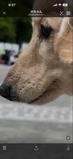 Item thumbnail for item 22f1aff8-b0c5-4fa5-9d25-c1b8e9069f77