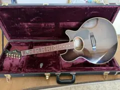 Fender PW-1 Phoenixのサムネイル