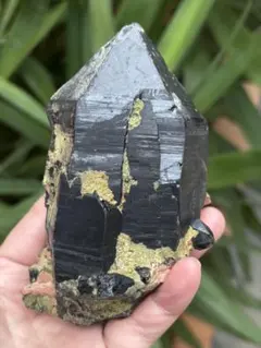 中国山東省産　モリオン　ポイント　557g エピドートあり　台座付　力強さ