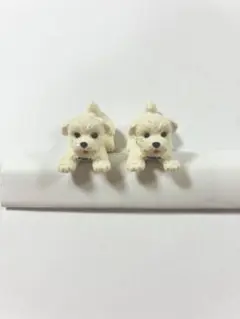 マルチーズの仲良し仔犬